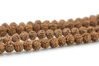 Natural Rudraksha Beads- 7mm 8mm, 9mm, 10mm- Wholesale Bulk or Single Strands!- Full 15.5 Inch Strand Gemstone Beads