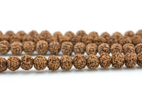Natural Rudraksha Beads- 7mm 8mm, 9mm, 10mm- Wholesale Bulk or Single Strands!- Full 15.5 Inch Strand Gemstone Beads