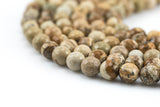 Natural Special Light Picture Jasper Faceted Round 4mm, 6mm, 8mm, 10mm, 12mm, 14mm Gemstone Beads