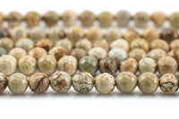 Natural Special Light Picture Jasper Faceted Round 4mm, 6mm, 8mm, 10mm, 12mm, 14mm Gemstone Beads