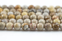 Natural Light fossil coral, High Quality in Faceted round, 6-10mm Gemstone Beads