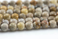 Natural Light fossil coral, High Quality in Faceted round, 6-10mm Gemstone Beads