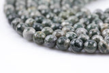 Natural Green Zebra Jasper Beads Grade AAA Faceted Round 8mm 10mm 15.5"-16" Strands Gemstone Beads