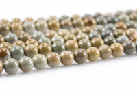 Natural Mexican Wild Horse Jasper - Round sizes. 4mm, 6mm, 8mm, 10mm, 12mm, 14mm- Full 15.5 Inch Strand Smooth Gemstone Beads