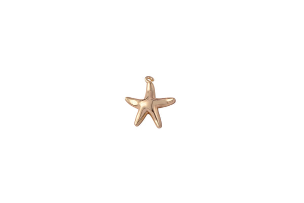 3pc 18K Gold Starfish Animal Ocean Creature Delicate Charm Bracelet Necklace Pendant Earring Gift for Jewelry Making