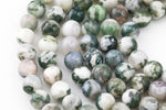 Natural White Tree Agate Beads AAA Grade Round - 4mm, 6mm, 10mm, 12mm AAA Quality Smooth Gemstone Beads