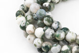 Natural White Tree Agate Beads AAA Grade Round - 4mm, 6mm, 10mm, 12mm AAA Quality Smooth Gemstone Beads