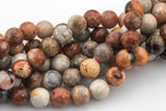 Natural Red fossil coral, High Quality in round, 6mm, 8mm, 10mm Smooth Gemstone Beads