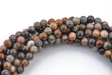 Natural Fossil Coral Beads 6mm 8mm 9mm 10mm 12mm Round Beads 15.5" Strand Smooth Gemstone Beads