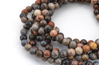 Natural Fossil Coral Beads 6mm 8mm 9mm 10mm 12mm Round Beads 15.5" Strand Smooth Gemstone Beads