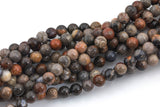 Natural Fossil Coral Beads 6mm 8mm 9mm 10mm 12mm Round Beads 15.5" Strand Smooth Gemstone Beads