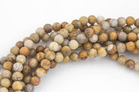 Natural Medium fossil coral, High Quality in round, 6mm, 8mm, 10mm Smooth Gemstone Beads