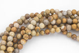 Natural Medium fossil coral, High Quality in round, 6mm, 8mm, 10mm Smooth Gemstone Beads