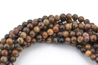 Natural African Petrified Wood Jasper Round High AAA Quality 6mm 8mm 10mm 12mm Full Strand AAA Quality Smooth Gemstone Beads
