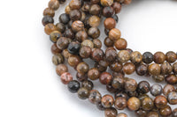 Natural African Petrified Wood Jasper Round High AAA Quality 6mm 8mm 10mm 12mm Full Strand AAA Quality Smooth Gemstone Beads