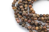 Natural African Petrified Wood Jasper Round High AAA Quality 6mm 8mm 10mm 12mm Full Strand AAA Quality Smooth Gemstone Beads