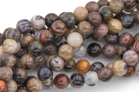 Natural Silver Petrified Wood Round High AAA Quality 6mm 8mm 10mm 12mm Full Strand AAA Quality Smooth Gemstone Beads