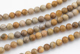 Natural Medium fossil coral, High Quality in round, 6mm, 8mm, 10mm Smooth Gemstone Beads