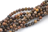 Natural African Petrified Wood Jasper Round High AAA Quality 6mm 8mm 10mm 12mm Full Strand AAA Quality Smooth Gemstone Beads