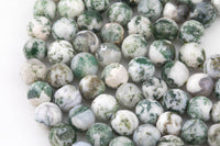 Natural Tree Agate, High Quality in Faceted Round-4mm, 6mm, 10mm, 12mm-Full Strand 15.5 inch Strand Gemstone Beads