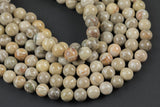 Natural fossil coral, High Quality in round, 4-14mm AAA Quality AAA Quality Smooth Gemstone Beads