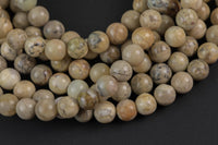 Natural White Creme African Opal round sizes 6mm and 8mm AAA Quality Smooth Gemstone Beads