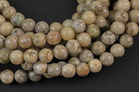 Natural White Creme African Opal round sizes 6mm and 8mm AAA Quality Smooth Gemstone Beads