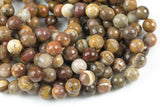 Natural Brown Petrified Wood Beads AAA Grade Faceted Round- 6mm, 8mm, 10mm, 12mm- Full 15.5 Inch Strand AAA Quality Gemstone Beads