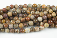 Natural Brown Petrified Wood Beads AAA Grade Faceted Round- 6mm, 8mm, 10mm, 12mm- Full 15.5 Inch Strand AAA Quality Gemstone Beads