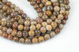 Natural Brown Petrified Wood Round High Quality 6mm 8mm 10mm 12mm Full Strand AA Quality AAA Quality Smooth Gemstone Beads