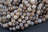 Natural MED Chocolate Moonstone - Chocolate Rainbow Moonstone Beads. Full Strand, 4mm, 6mm, 8mm, 12mm, or 14mm Beads (A quality) AAA Quality