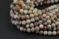 Natural Mexican Crazy Laced Agate Round 4mm, 6mm, 8mm, 10mm, 12mm, 14mm -Full Strand 15.5 inch Strand Smooth Gemstone Beads