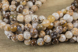 Natural Petrified Wooden Opal Beads 4mm 6mm 8mm 10mm Round Beads Earthy Beige Brown Yellow Gray Stone 15.5" Strand Smooth Gemstone Beads