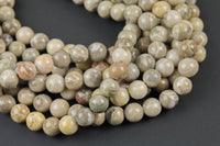 Natural fossil coral, High Quality in round, 4-14mm AAA Quality AAA Quality Smooth Gemstone Beads