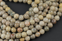 Natural fossil coral, High Quality in round, 4-14mm AAA Quality AAA Quality Smooth Gemstone Beads