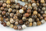 Natural Brown Petrified Wood Beads AAA Grade Faceted Round- 6mm, 8mm, 10mm, 12mm- Full 15.5 Inch Strand AAA Quality Gemstone Beads