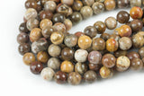 Natural Brown Petrified Wood Beads AAA Grade Faceted Round- 6mm, 8mm, 10mm, 12mm- Full 15.5 Inch Strand AAA Quality Gemstone Beads