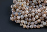 Natural MED Chocolate Moonstone - Chocolate Rainbow Moonstone Beads. Full Strand, 4mm, 6mm, 8mm, 12mm, or 14mm Beads (A quality) AAA Quality