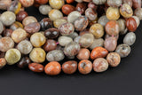 Natural Fossil Coral Nuggets Beads -16 Inch strand - Wholesale pricing AAA Quality- Full 16 inch strand Gemstone Beads