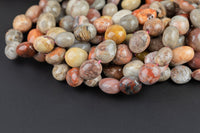 Natural Fossil Coral Nuggets Beads -16 Inch strand - Wholesale pricing AAA Quality- Full 16 inch strand Gemstone Beads