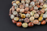 Natural Fossil Coral Nuggets Beads -16 Inch strand - Wholesale pricing AAA Quality- Full 16 inch strand Gemstone Beads