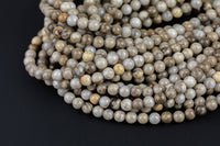 Natural Silver Leaf Jasper, High Quality in Round- 4mm, 6mm, 8mm, 10mm, 12mm Smooth Gemstone Beads