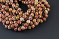 Natural Brown Agate Beads - Round - 6mm 8mm 10mm or 12mm - Full 15.5" 15.5 inch strands Smooth Gemstone Beads