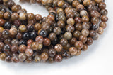 Natural African Petrified Wood Jasper Round High AAA Quality 6mm 8mm 10mm 12mm Full Strand AAA Quality Smooth Gemstone Beads