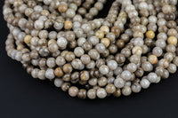 Natural Silver Leaf Jasper, High Quality in Round- 4mm, 6mm, 8mm, 10mm, 12mm Smooth Gemstone Beads