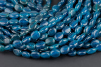 Natural Apatite Oval Beads -16 Inch strand - Wholesale pricing AAA Quality- Full 16 inch strand- 8x10mm- 40 pcs Gemstone Beads