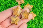 1 Pc Natural Picture Jasper Gemstone Star- 25mm