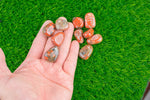 1 pc Natural Red Jasper Medium Large Tumbled Stone- 0.8-1.5 inch