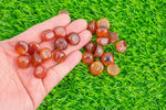 Carnelian Tumble Stone Medium Tumbled Stone- .5 inch-1.25 inch