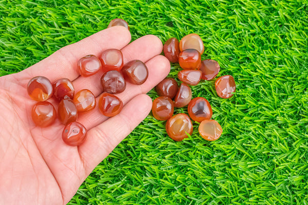 Carnelian Tumble Stone Medium Tumbled Stone- .5 inch-1.25 inch